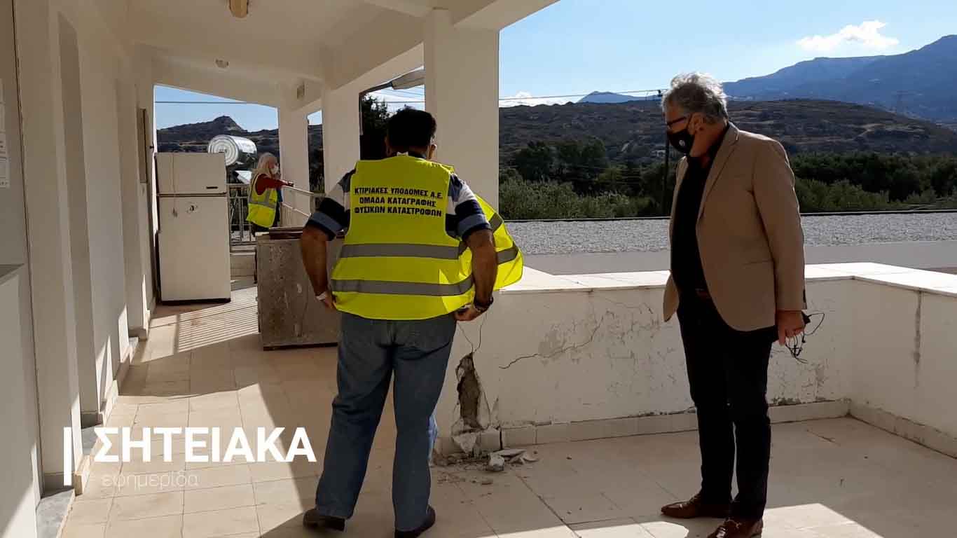 zimies foto zimies foto