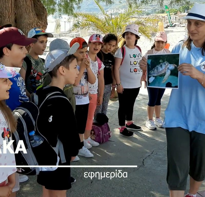 Εκπαιδεύοντας τους μικρούς εθελοντές προστασίας της θαλάσσιας χελώνας