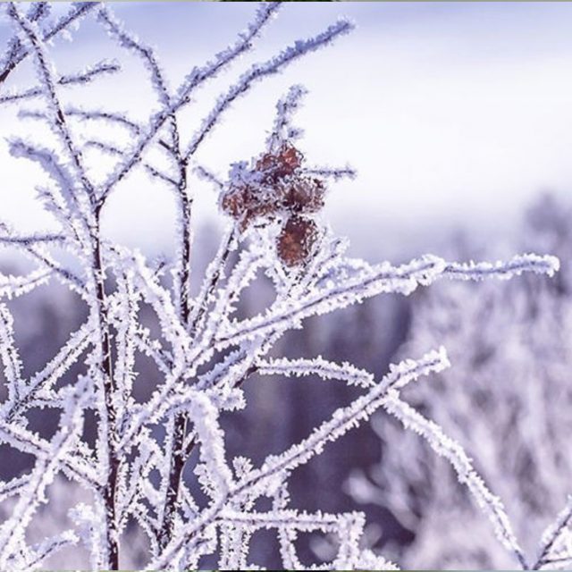 Δύσκολο και βαρύ χειμώνα δείχνουν τα Μερομήνια